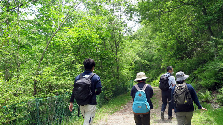 森林浴を楽しめる遊歩道